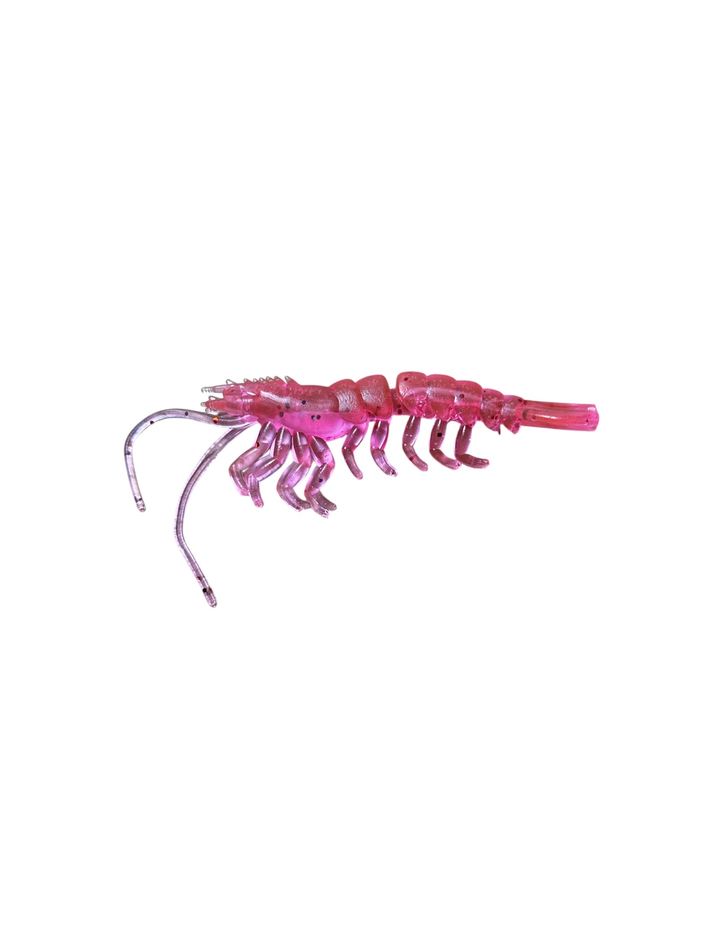 Starter Prawn Pack