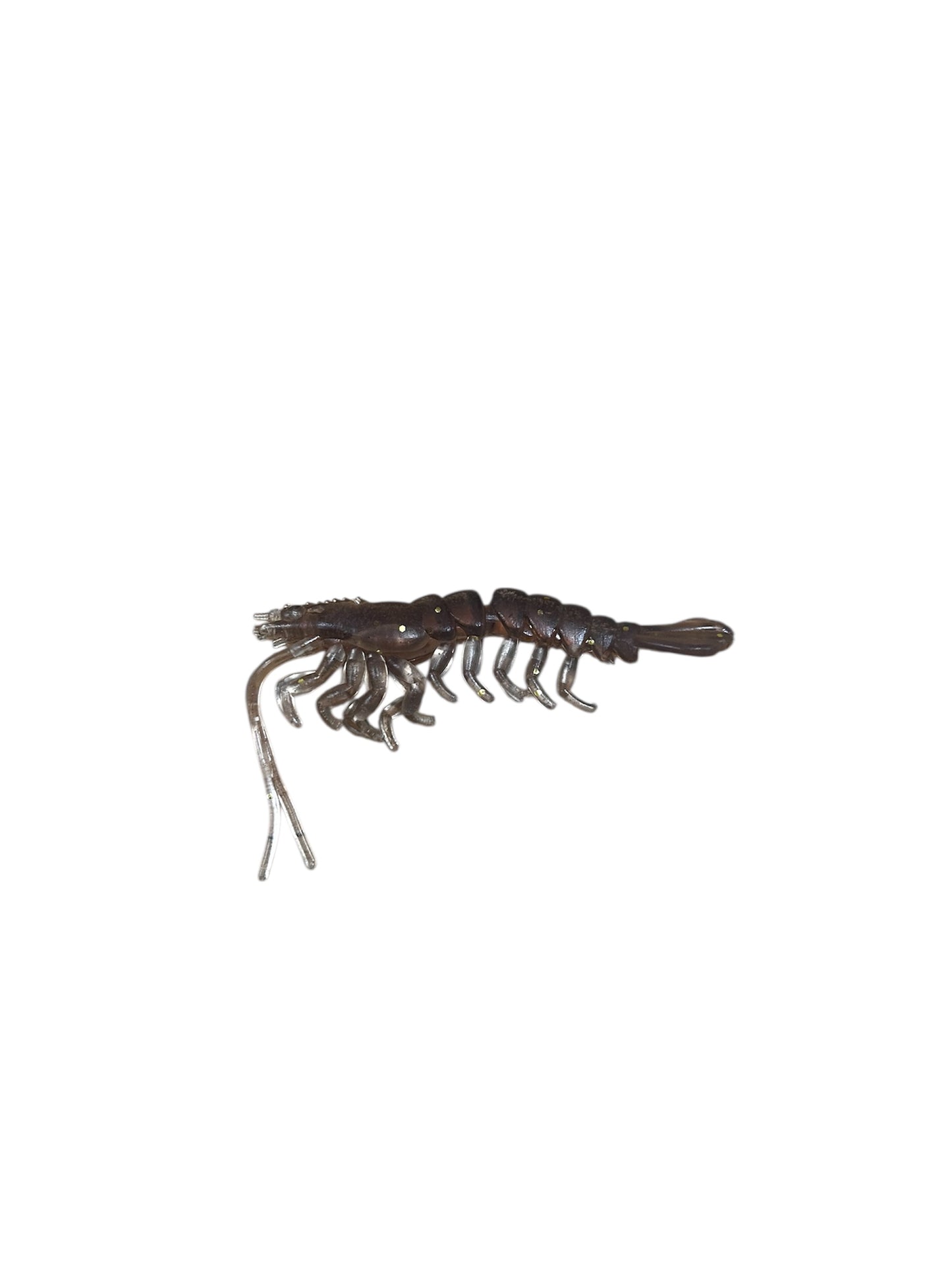 Starter Prawn Pack