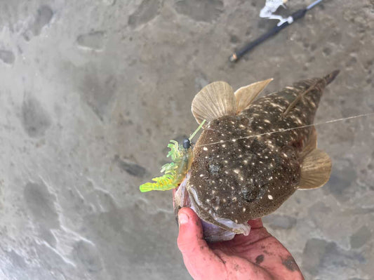 FLATHEAD PACK